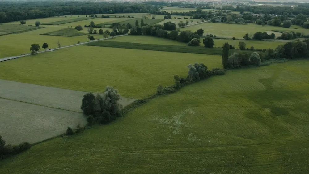 Vista aérea de parcelas de campo verde